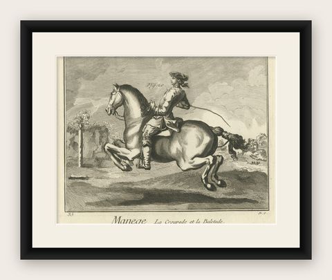 Antique Print of Horse Riding, Ballotade, shown framed