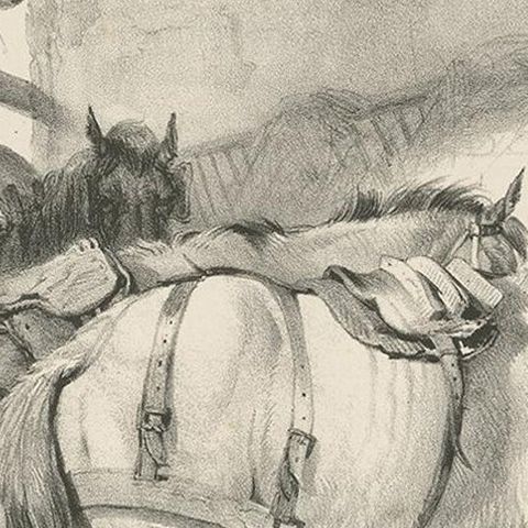 19th Century Antique Print of Horses and a Goat by Cooper, 1839, close-up 2