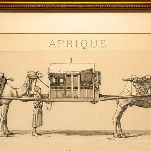 African Transport & Camel Litter, Racinet Afrique Plate, 1888, close-up 6