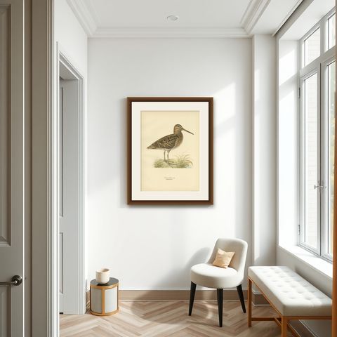 Antique Bird Print of the Great Snipe by Von Wright, 1929, shown framed in a room