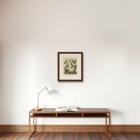 Ornithology Piciformes Plate III - Antique Bird Engraving, 1811, shown framed on a wall