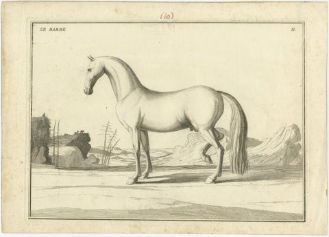 Set of 2 Antique Horse Prints: l'Arabe & Le Barbe, 1739, view 3