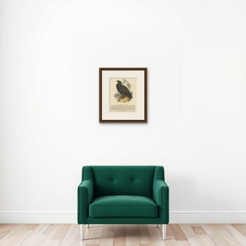 The Majestic Golden Eagle, Antique Wood Engraving, circa 1860, shown framed on a wall