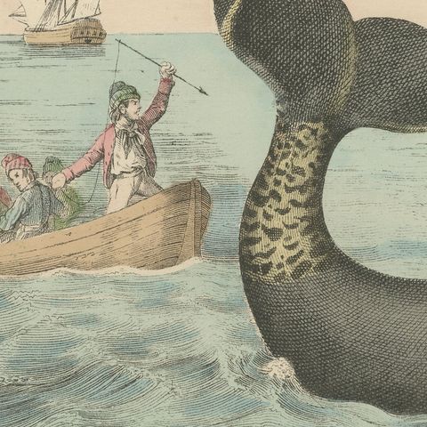 Antique Whaling Scene Print with Bowhead Whale, Dolphin and Sea Lion, circa 1890, close-up 6