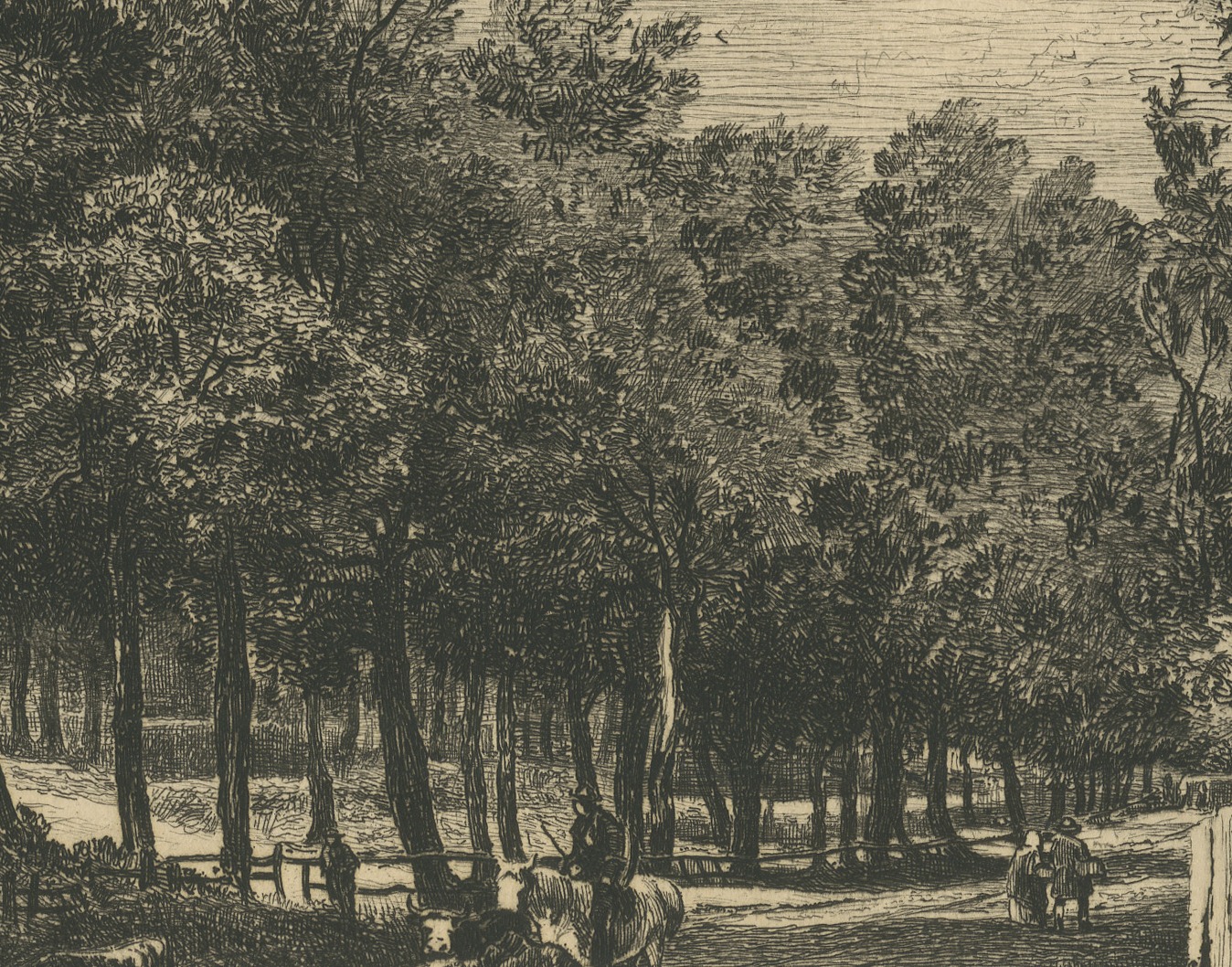 Lane with Cattle after John Crome, Antique Etching by Chattock, circa 1875, view 5