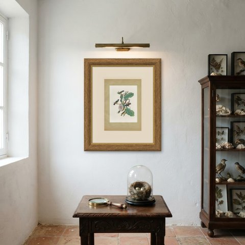 Tanagers and Euphonias on a Papaya, Brazilian Bird Print, Descourtilz, 1944, shown framed on a wall