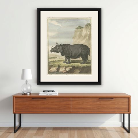 Striking Antique Rhinoceros Engraving, Buffon Hand-Coloured Print Amsterdam 1769, shown framed on a wall