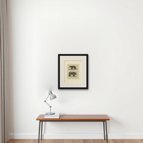 Antique Tapir & Bear Zoological Engraving, Bertuch, c. 1800, shown framed on a wall