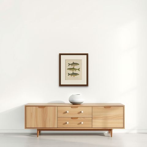 Dace and Chub - Graceful Scandinavian Freshwater Fish Lithograph, 1895, shown framed on a wall