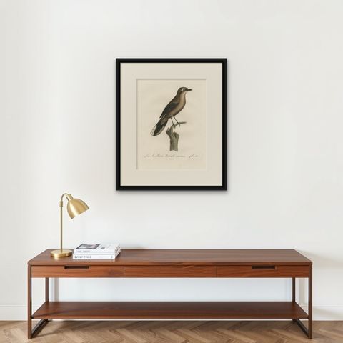 An 1807 Large Hand-Finished Ornithological Study of a Northern Shrike, shown framed on a wall