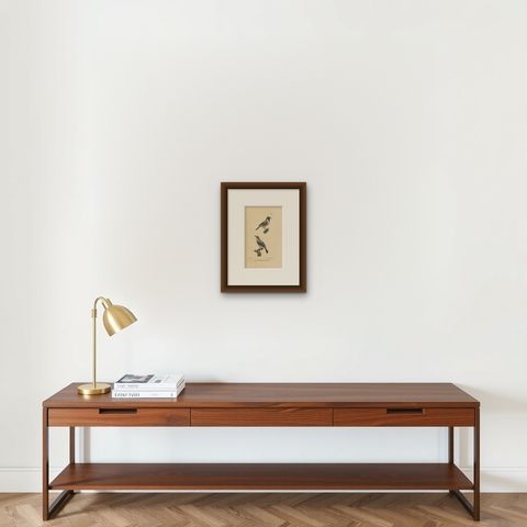 Pl. 77 Antique Bird Print of the Wheatear by Lejeune 'c.1830', shown framed on a wall