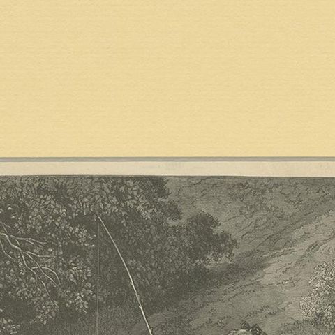 Antique Print of Children Accidentally Catching a Frog 'C.1900', close-up 1