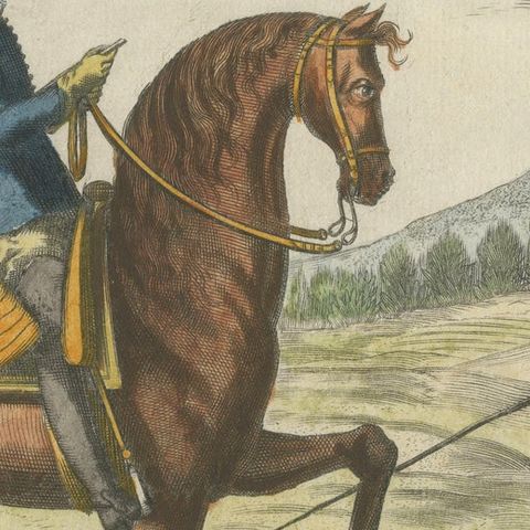 Baroque Dressage Horse in Collection, Georg Simon Winter, 1678, close-up 6