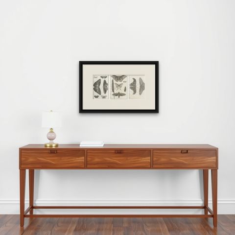 Set of Three Antique Engravings, Butterflies and Moths, 18th Century c.1770, shown framed on a wall