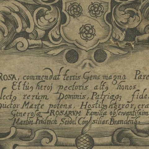 Reinhold de Rosa, Military Commander, Original Antique Engraving, circa 1660, close-up 6