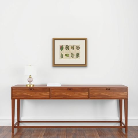 Set of 8 Botany Prints, Begonia Rex, Cissus Discolor '1891', shown framed on a wall