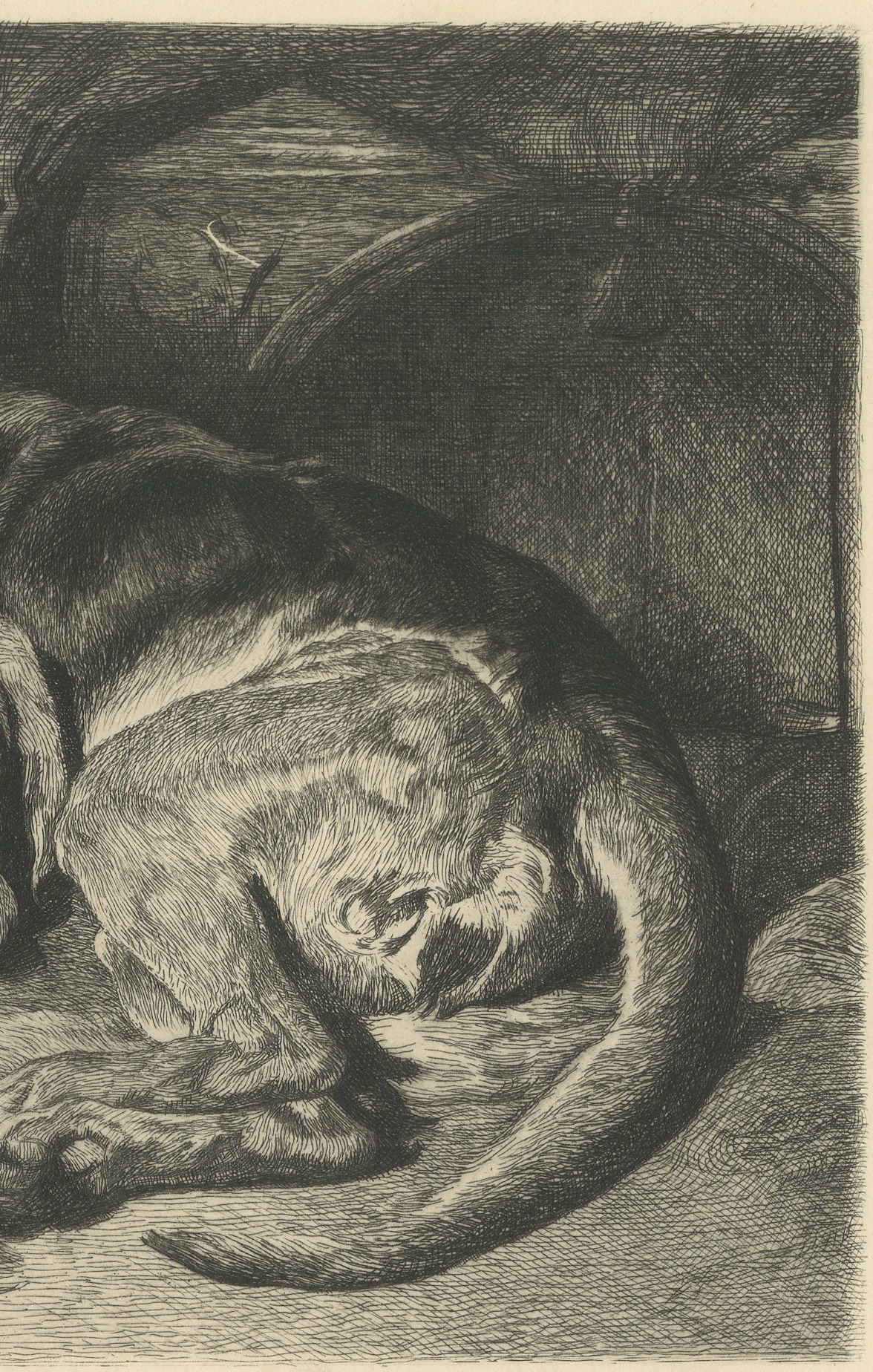 Sleeping Hound with a Plumed Helmet, Antique Etching by W. Wise, circa 1880, view 4