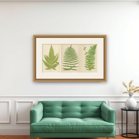 Antique Set of Three Botanical Fern Prints by E.J. Lowe (1868), Aspidium Series, shown framed on a wall