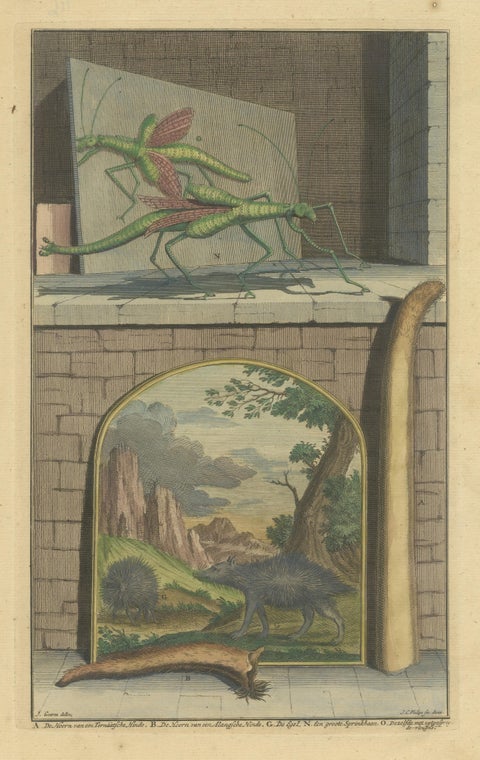 Colored Antique Print of a Grasshopper, Hedgehogs and the Horn of Doe, view 3