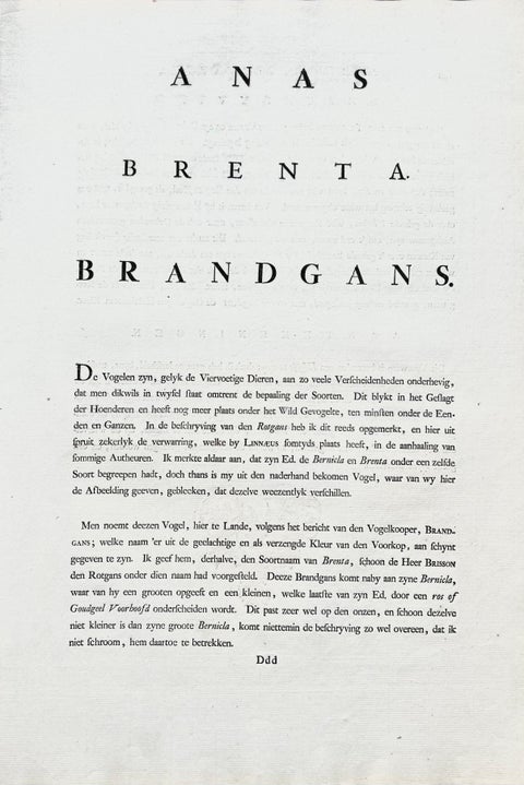 Anas, Brenta, Barnacle Goose from Nederlandsche Vogelen, 1797, view 10