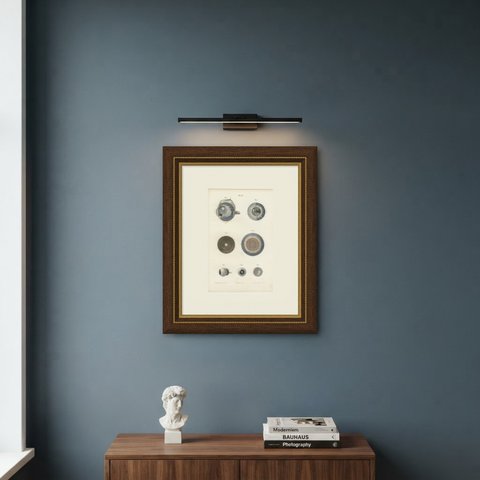 The Choroid, Iris and Retina, Antique Hirschfeld Anatomy Print, 1866, shown framed on a wall