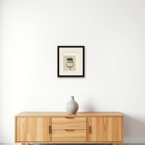Antique Wild Buffalo & Long Horns Engraving, Bertuch, c. 1810, shown framed on a wall