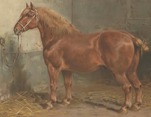 Antique Print of the Suffolk Horse by O. Eerelman, 1898, view 2