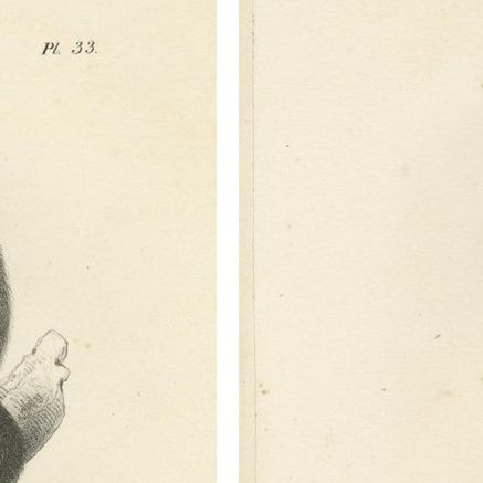 Oeakari, Sodenaap, Cacajao & Capuchin Monkeys, Lithographs by C.C. Last, 1836, close-up 1