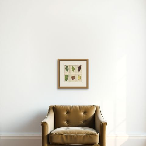 Set of 6 Botany Prints - Gesnera Cinnabarina - Dracaena Perrea (1891), shown framed on a wall
