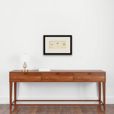 Botanical Engravings of Thick-Leaved, English, and Biting Stone-Crops, 1902, shown framed on a wall