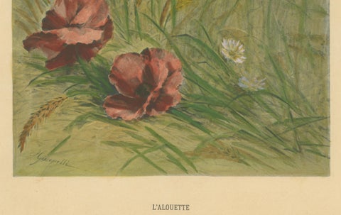 Lark Among Poppies - Exquisite Giacomelli Ornithological Print, Circa 1891, close-up 1