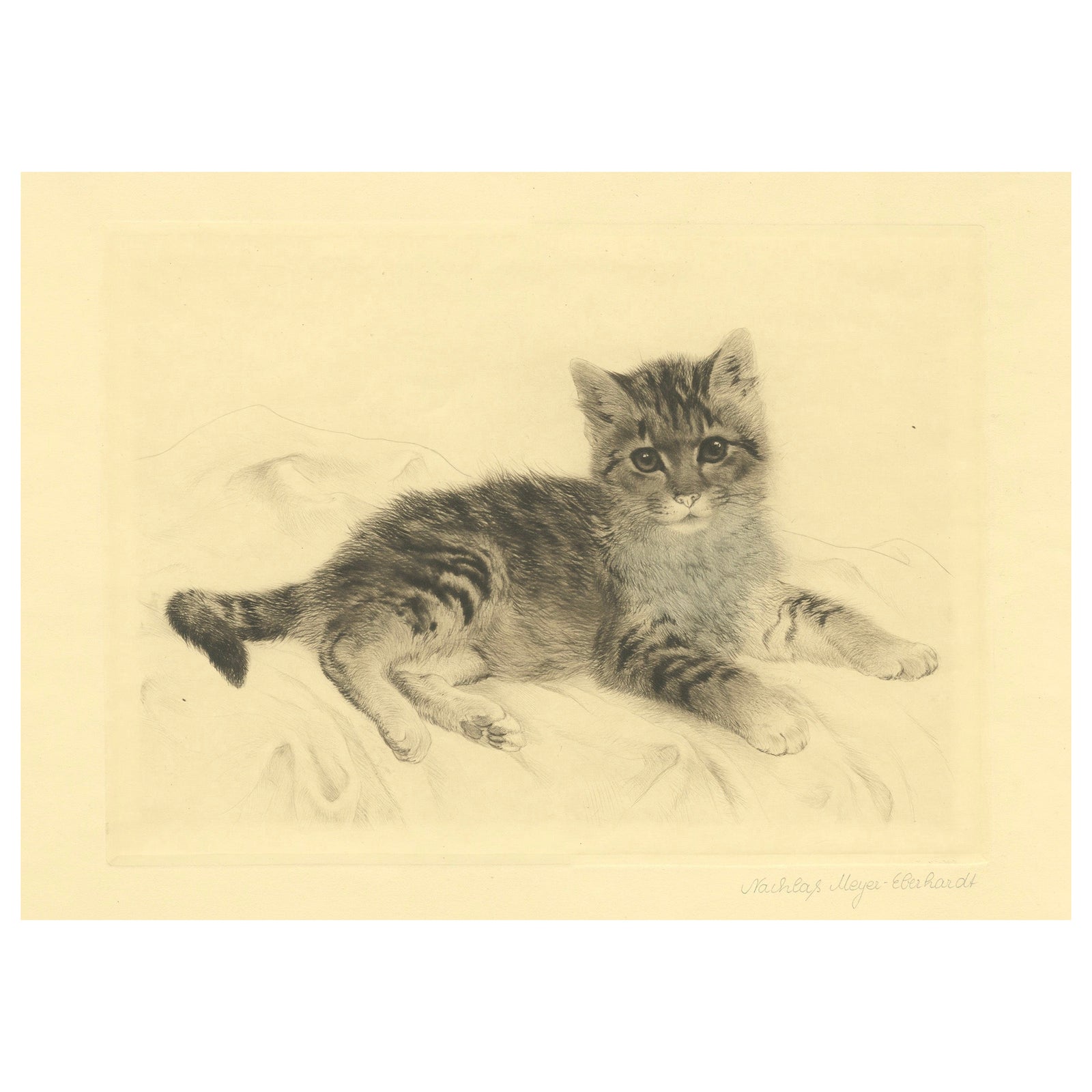 Antique Cat Etching by Kurt Meyer-Eberhardt, Estate Edition, Posthumous 1977