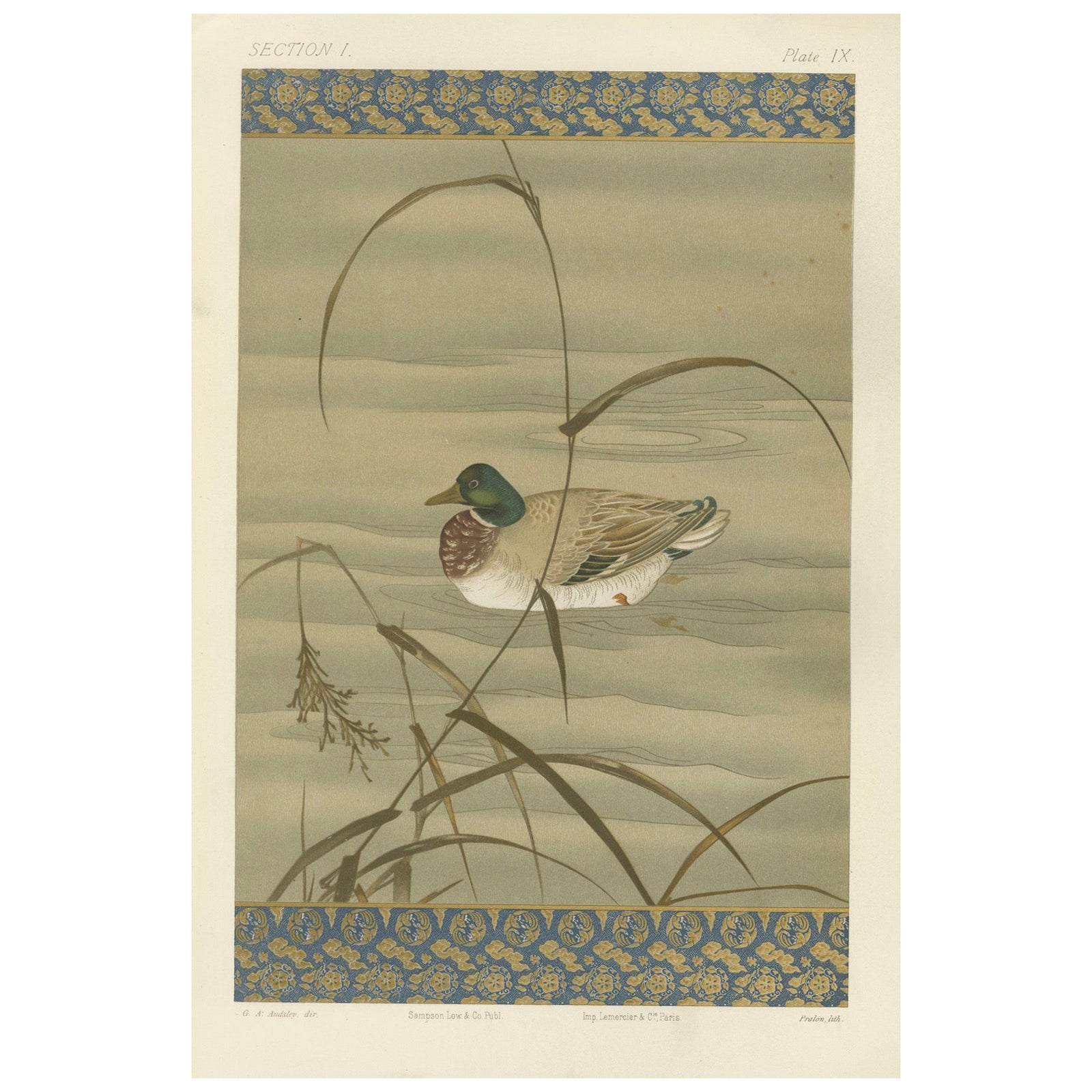 Antique Japanese Waterfowl Print: Tranquil Duck in Reeds, 19th Century