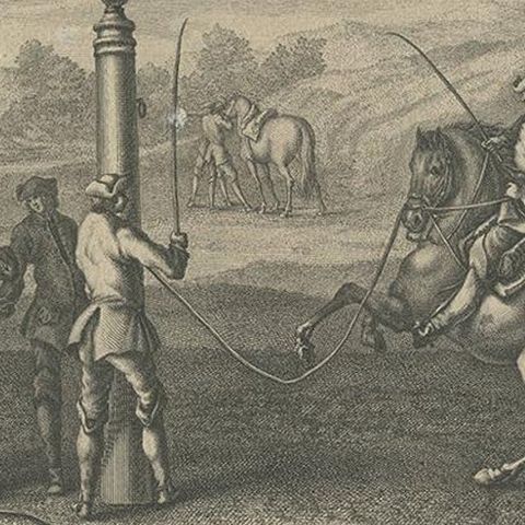 Antique Horse Print of 'Gallop' by J.E. Ridinger, 1722, close-up 2
