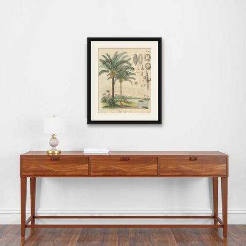 Antique Cycad Botanical Print, Copper Engraving, c.1831, Hand Colored, shown framed on a wall