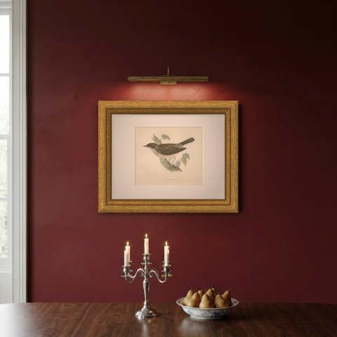 Thrush Nightingale on a Mossy Branch, Antique Morris Bird Print, 1896, shown framed on a wall