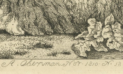 Serene Pastoral Scene with Two Resting Sheep: Etching by Anthony Oberman, 1810, close-up 1