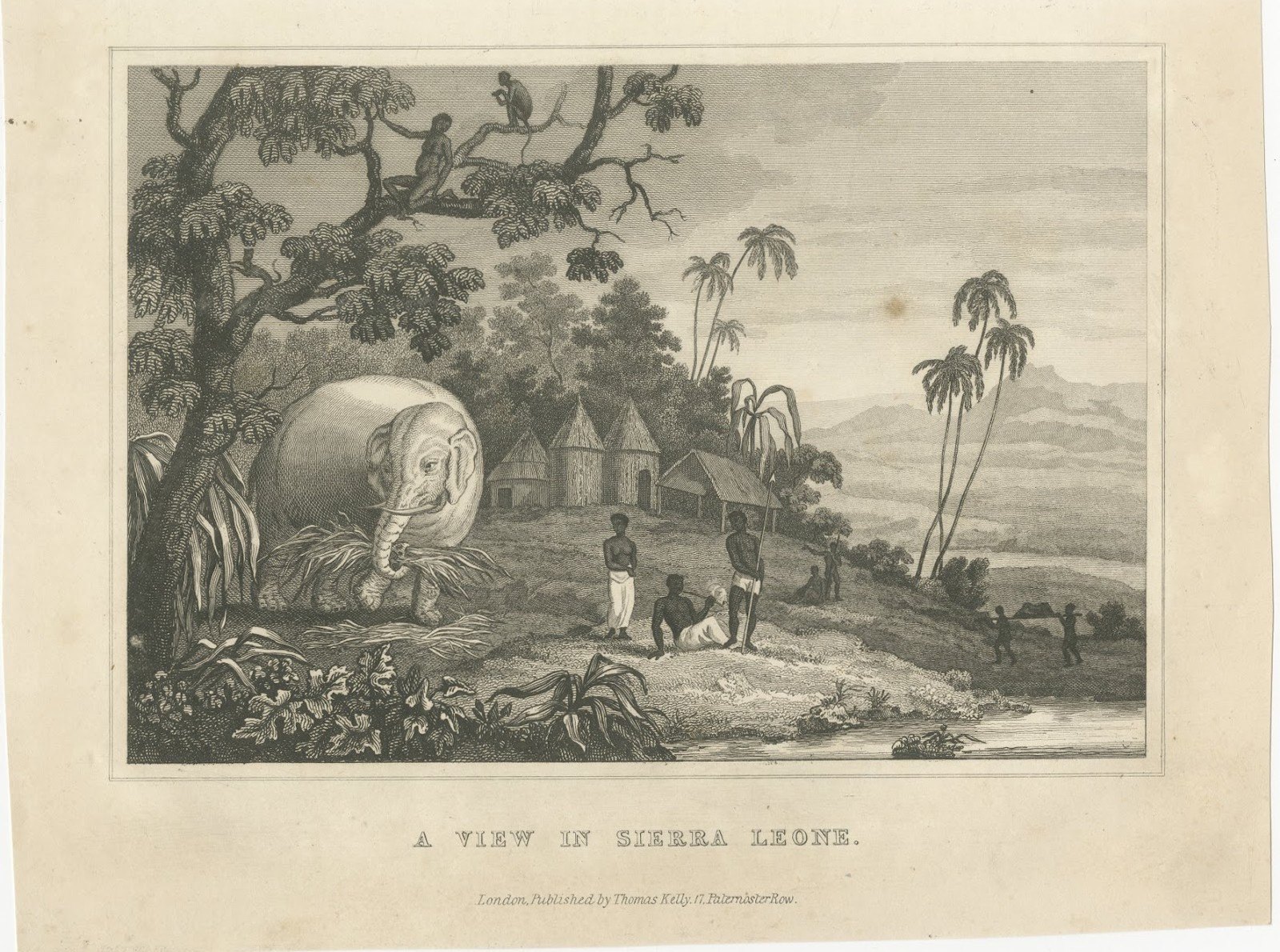 View in Sierra Leone, West Africa, Elephant, Antique Engraving, circa 1825