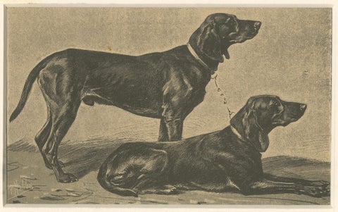 Swiss Hound Briquets, Antique Dog Print, circa 1880, French Publication, close-up 5
