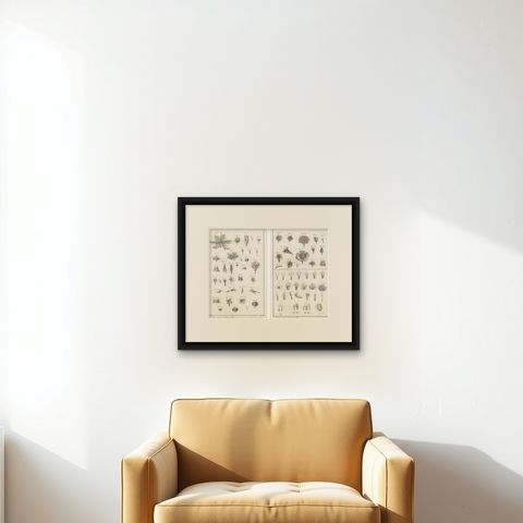 Pair of Antique Botanical Engravings, Tournefort & Linnæus Systems, ca. 1770, shown framed on a wall