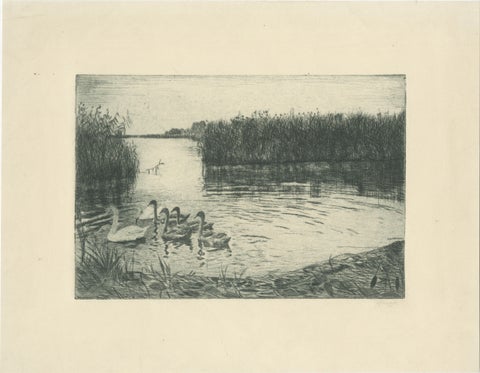 Marsh Landscape with Swans, Atmospheric German Etching, c.1910