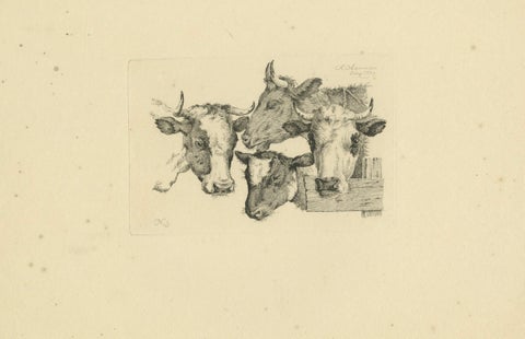 Etching of Four Cow Heads: Detailed Farm Animal Study by Oberman, 1809, close-up 1