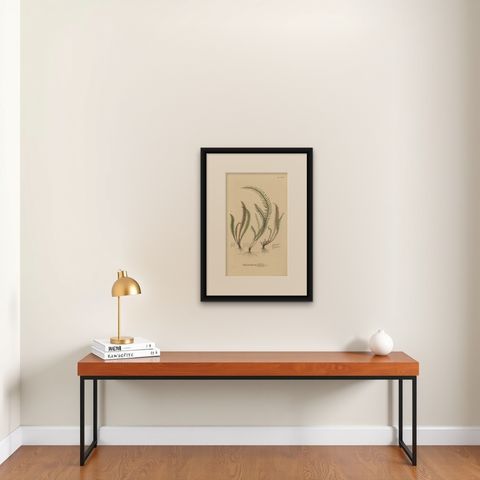 Majestically Handcolored Lithograph of Ferns of Indonesia 'Polypodium', 1829, shown framed on a wall