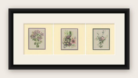 Vintage Botanical Treasures: Set of Three Flower Prints, circa 1930, shown framed