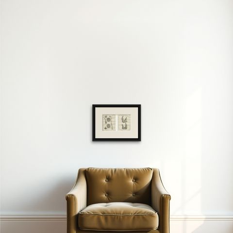 Antique Rhinoceros Horn Anatomy Engravings, Buffon Scientific Pair 1769, shown framed on a wall