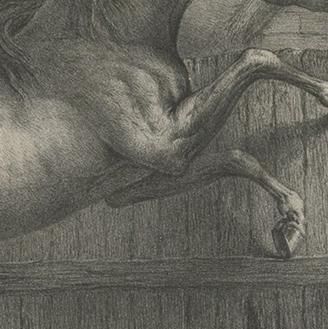 Original Antique Lithograph of a Horse Showing the Passion 'Love', 1827, close-up 3