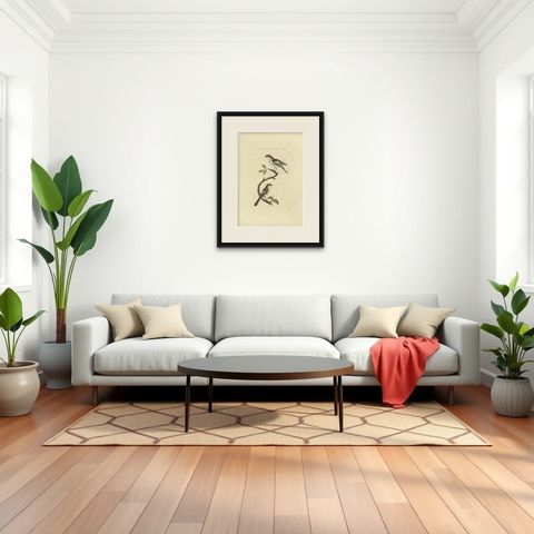 Antique Bird Print of the Woodchat Shrike by Sepp & Nozeman, 1829, shown framed in a room