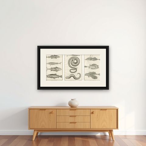 Rare 18th Century Fish Prints, Histoire Naturelle Engravings, ca.1770, shown framed on a wall