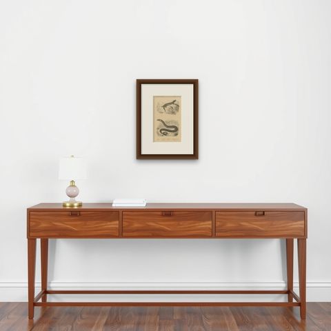 Lizard Print of Ocellated Skink and European Glass Lizard, c.1850, Orbigny, shown framed on a wall