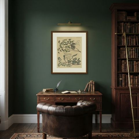 Mahogany Tree and Logwood, Antique Bertuch Print, circa 1805, shown framed in a room